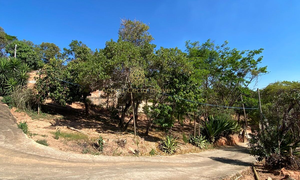 WhatsApp Image 2025-11-05 at 11.16.40